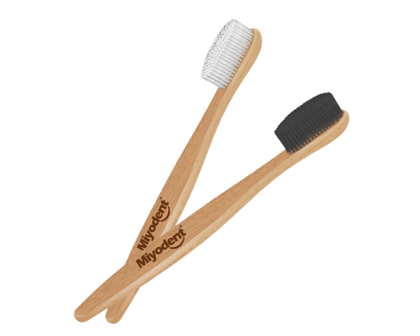 Eco-Friendly Bamboo Tooth Brush in Multiple Colors